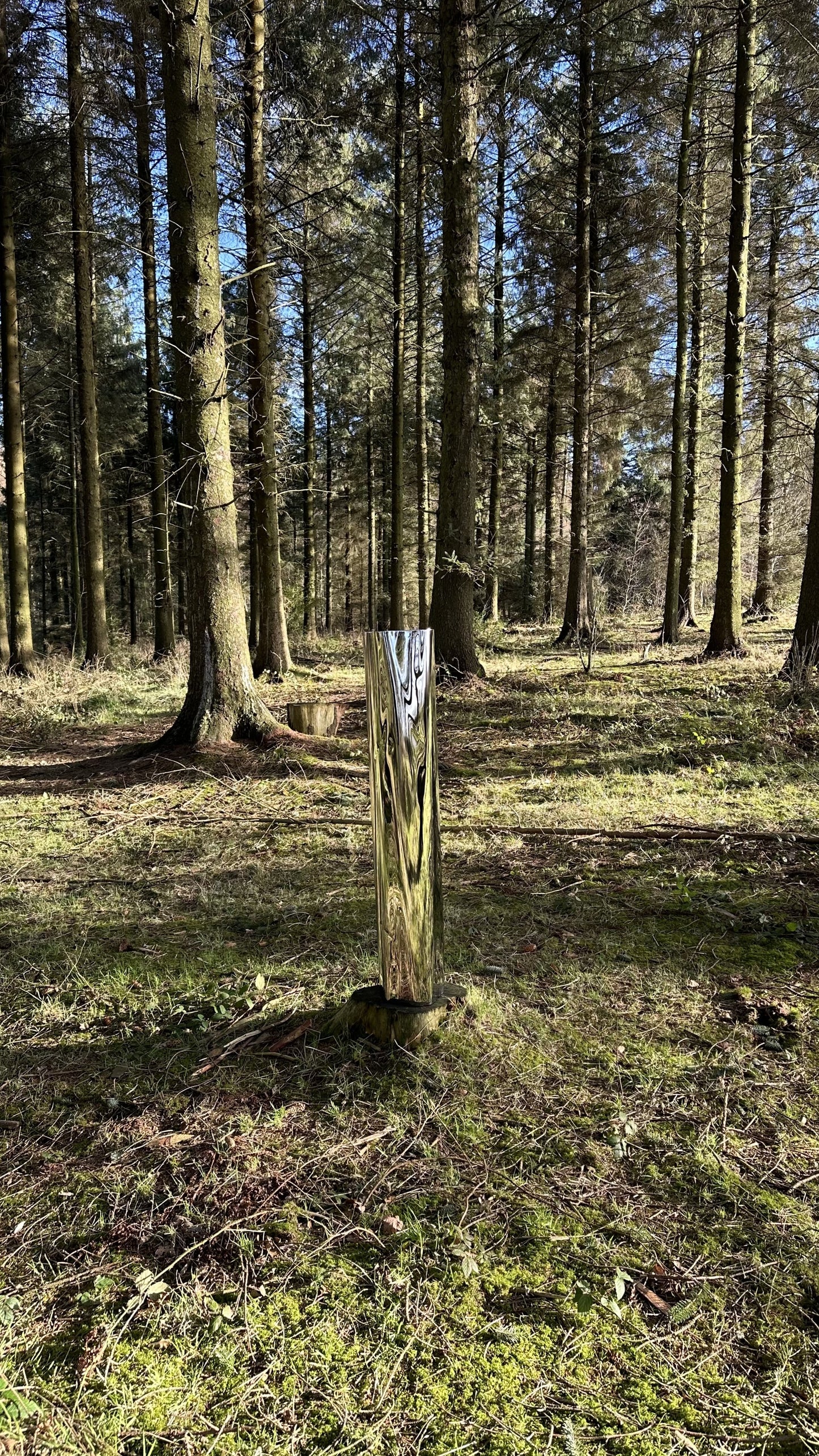 STAND ALONE LUCID SCULPTURE